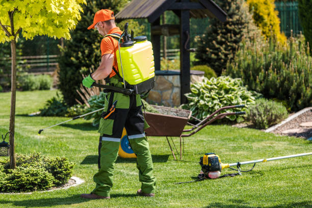 Best Fumigation Services  in Oskaloosa, KS